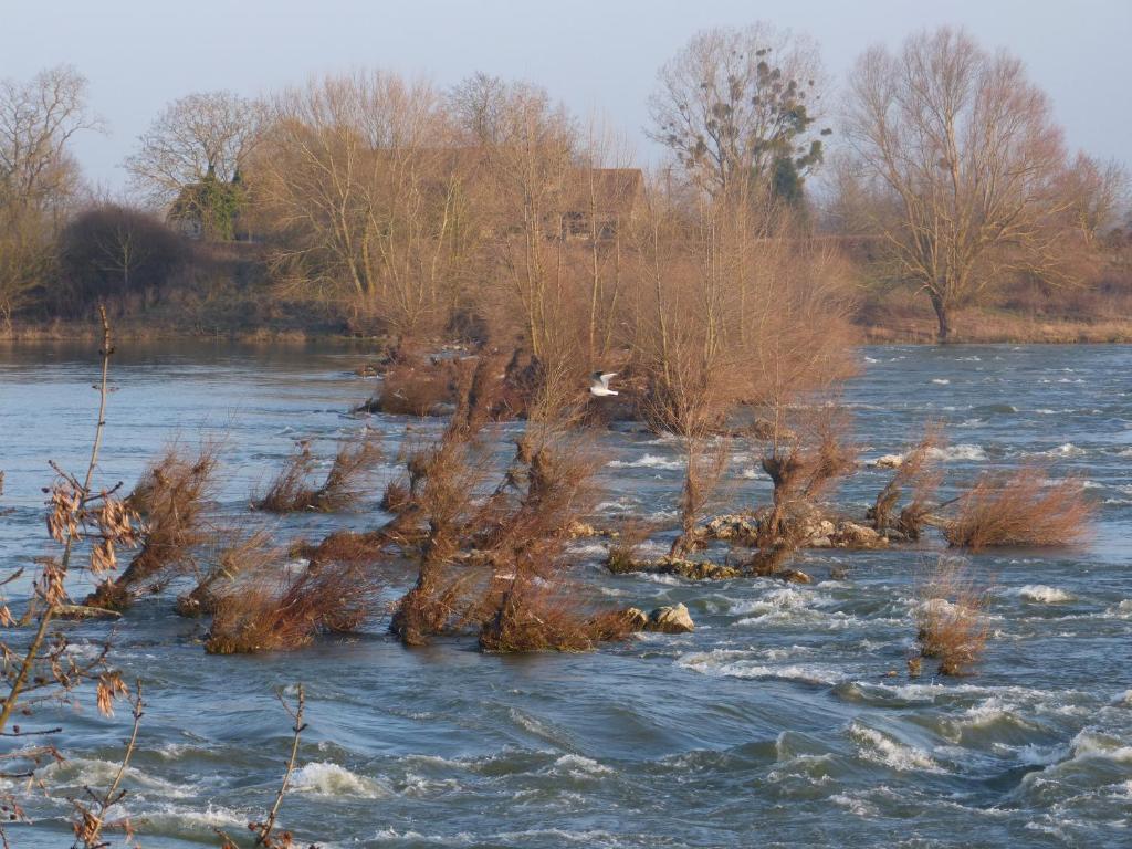 Logis Hotel Le Relais Louis XI Meung-sur-Loire Eksteriør billede