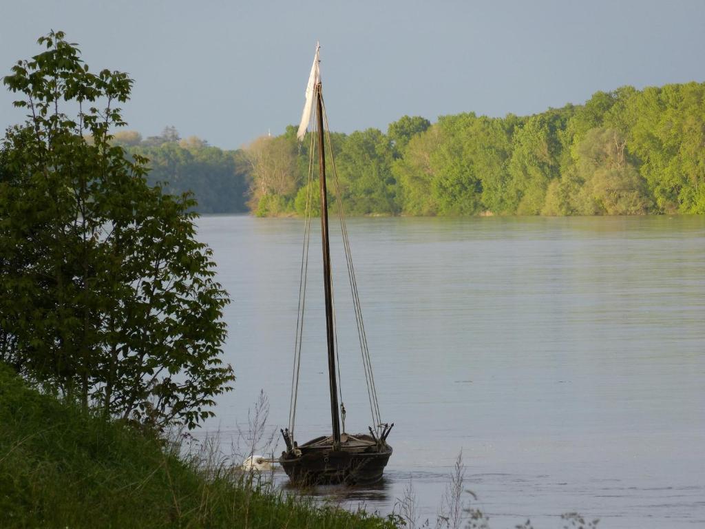 Logis Hotel Le Relais Louis XI Meung-sur-Loire Eksteriør billede