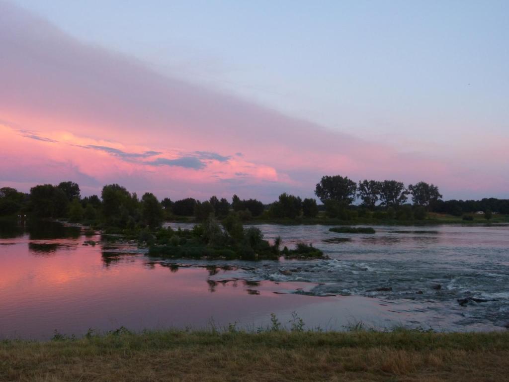 Logis Hotel Le Relais Louis XI Meung-sur-Loire Eksteriør billede